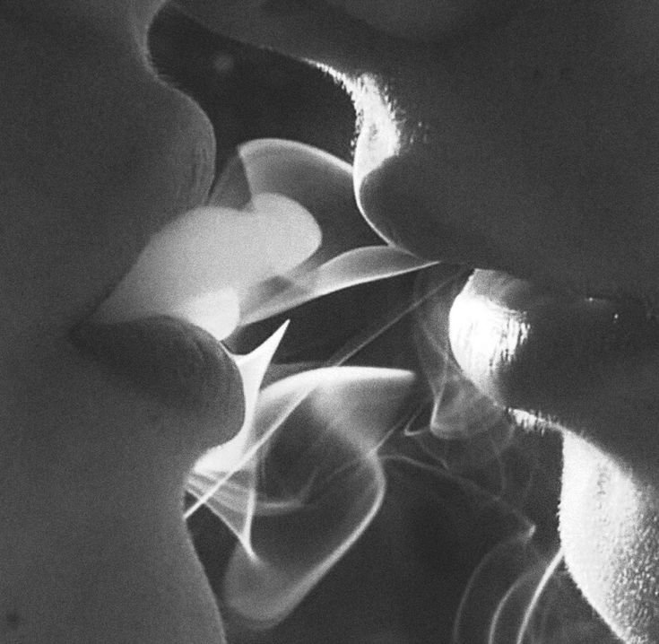 sweetdissect1on's tweet photo. Papelucho: mi primera pasada de humo ♥︎ https://t.co/4KO8S7VhWZ