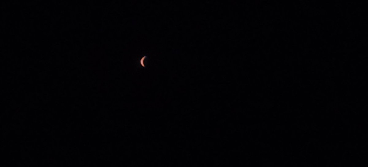 AraneaJoestar's tweet photo. 🥹 el eclipse... https://t.co/XcOefzHkkV