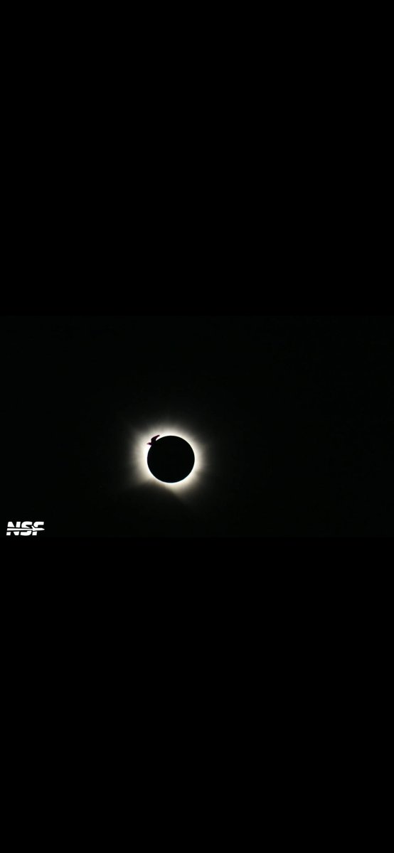 ThordeanFPV's tweet photo. I caught a bird!!!! Lol
Screenshot from today's eclipse! 

Thanks @NASASpaceflight !!!

#eclipse https://t.co/zbfDezPDnY