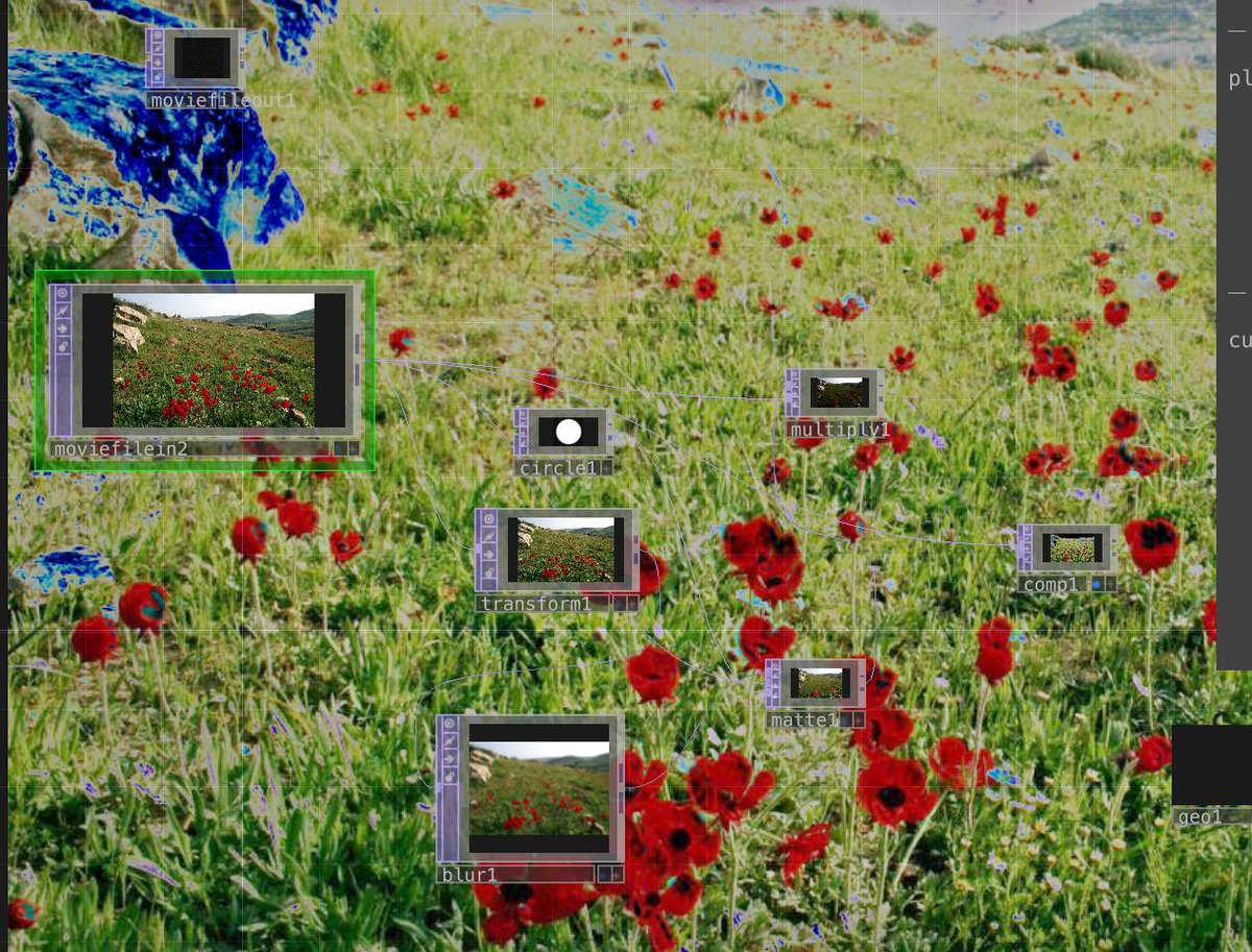 varveber's tweet photo. using touch designer for the first time is like learning that you could fly instead of walking your whole life https://t.co/7NXklIKfWV