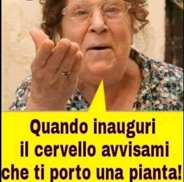 PipponeCraone's tweet photo. @Virna25marzo Ranu'... https://t.co/TKc67tx52L
