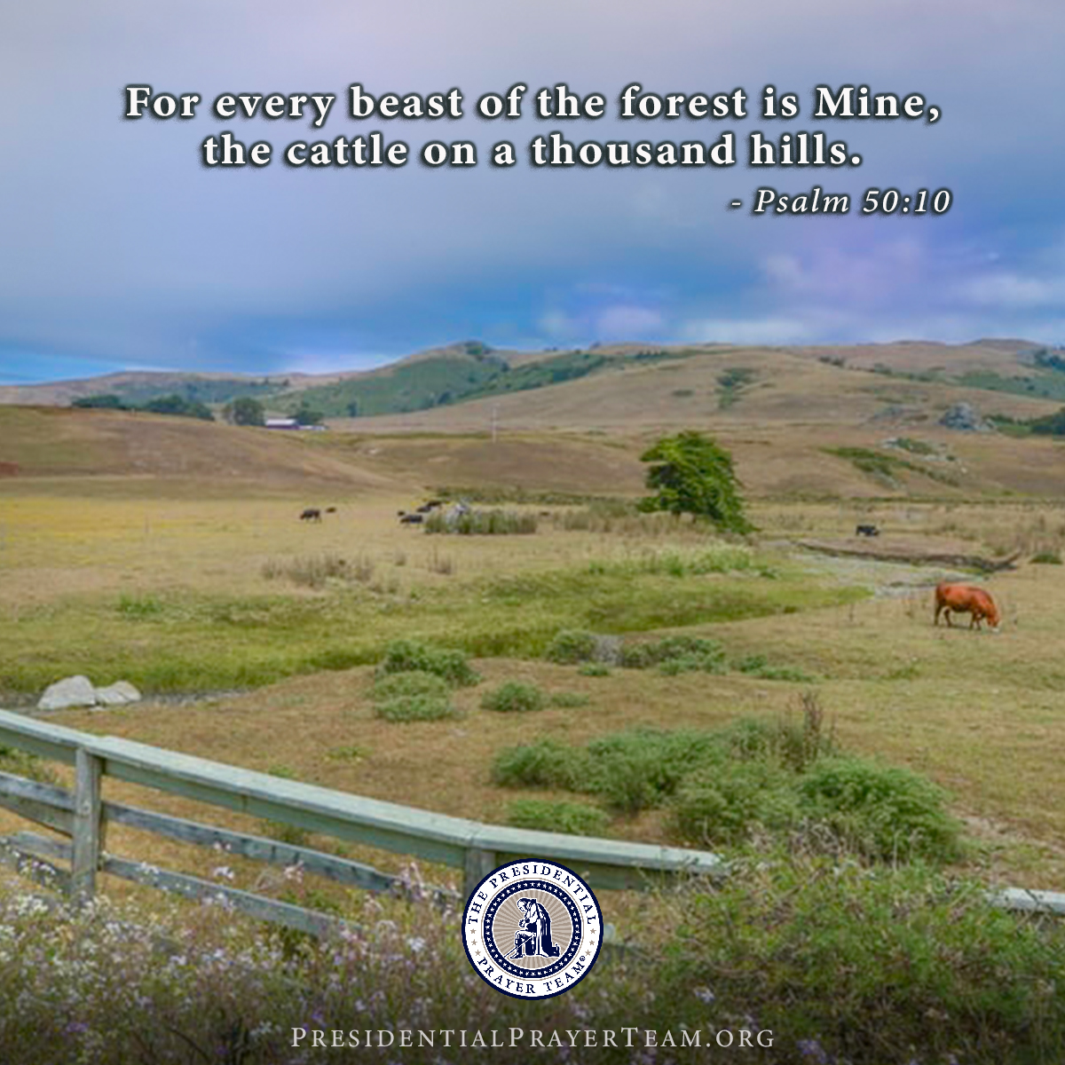 PresidentPrayer's tweet photo. “Behold, to the LORD your God belong heaven and the heaven of heavens, the earth with all that is in it.” - Deuteronomy 10:14
We pray for all who are in authority (1 Tim. 2:1-2).
https://t.co/qjqNSEgKk0
#PrayFirst #PresidentialPrayerTeam #UnitedInPrayer #PrayWithUs https://t.co/OVKikyfBWx
