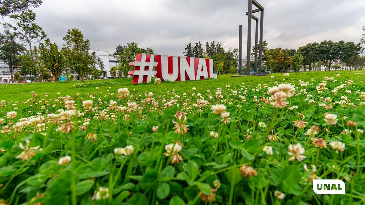 UNALOficial's tweet photo. En situaciones de emergencia, el conocimiento y la cooperación son fundamentales. 🏛️ 

La UNAL ofrece sus capacidades técnicas, científicas y humanas tras el sismo para apoyar la evaluación de infraestructura y las acciones de prevención.

👉 https://t.co/00o3V00zzu | @PrensaUNAL https://t.co/4fp7pKWKw1
