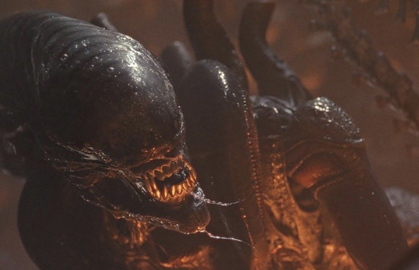 JJvsgnh's tweet photo. @IomayaMai Yes big xenomorph https://t.co/eokV5wXRRe