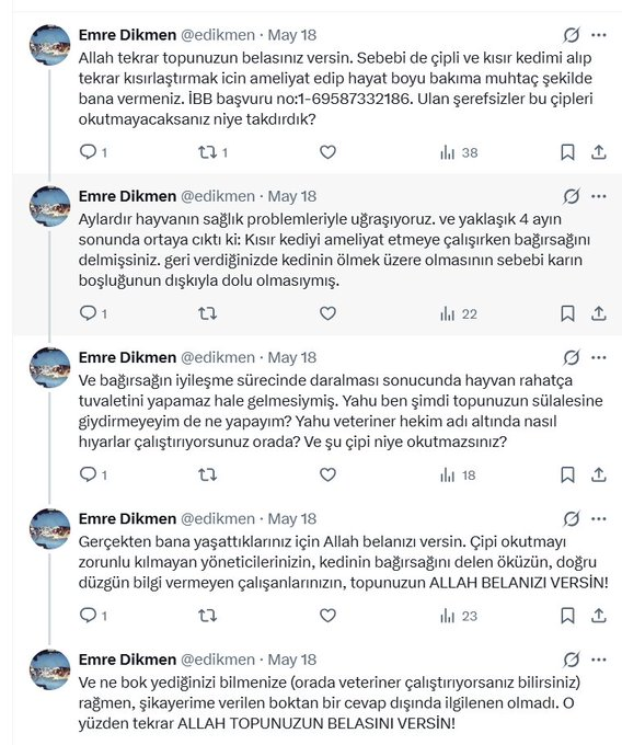 edikmen's tweet photo. @ibb_veteriner Dünya kediler günü diyince aklıma ibb veterinerliğin müthiş marifeti geldi. https://t.co/YmkvREulm5