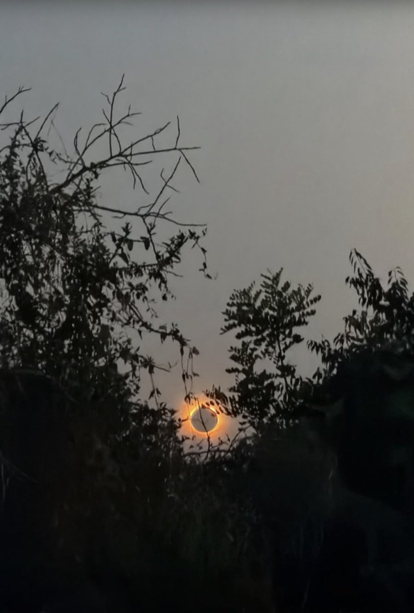 ManuCab1994's tweet photo. En el intermedio del eclipse lo hubiera pegado que @DJBaste hubiera pinchado. Pa mi amigo basterra, desde Tarragona te mando feliz año. https://t.co/zhwMsWAZpf