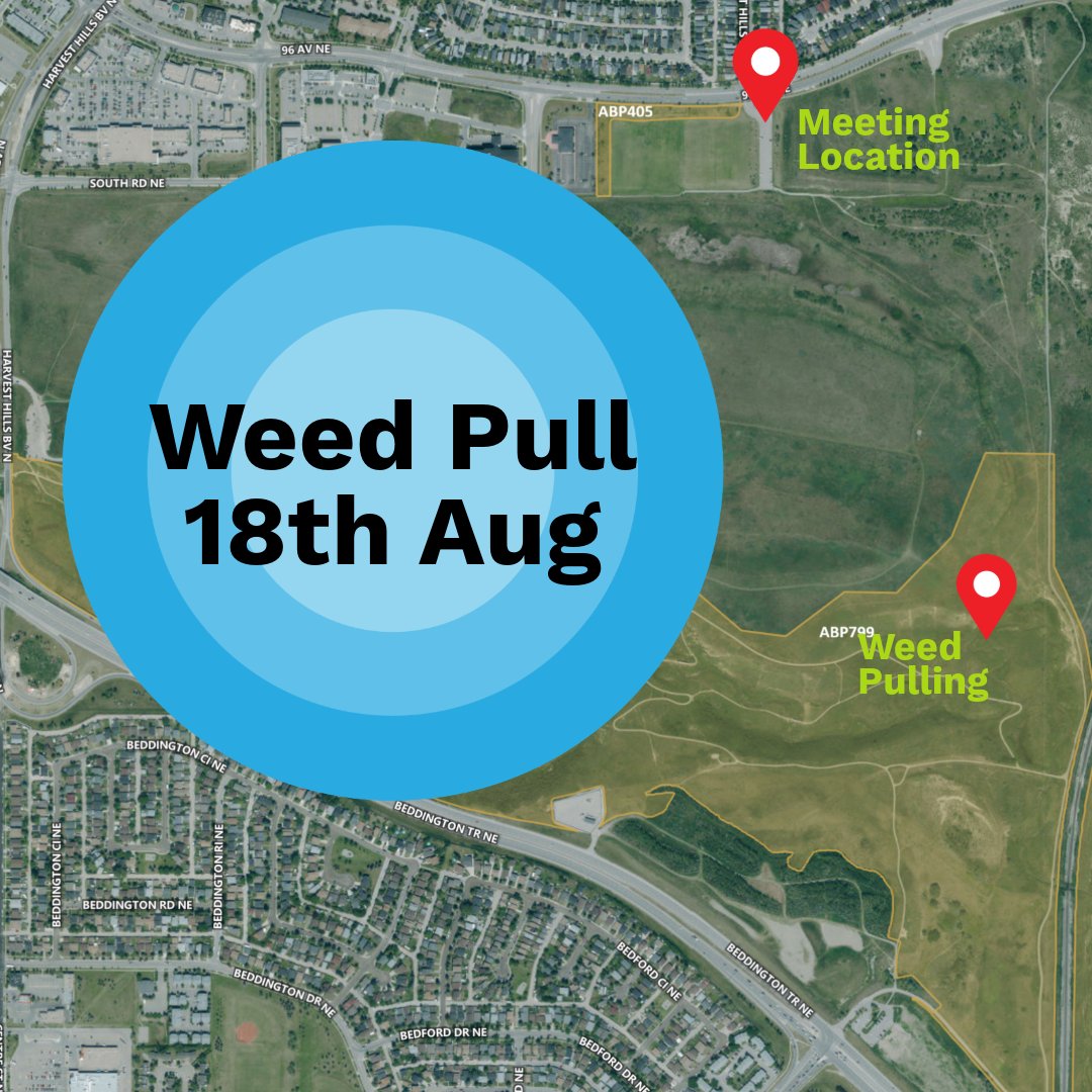 savenosecreek's tweet photo. NCPS, with the City of Calgary, invites you to pull weeds with us. Join us on 18th August 2026 from 6.00 pm to 8:00 pm at the Harvest View parking lot. More details online: https://t.co/0BfXpHkwLz https://t.co/PS1iIzXq5G