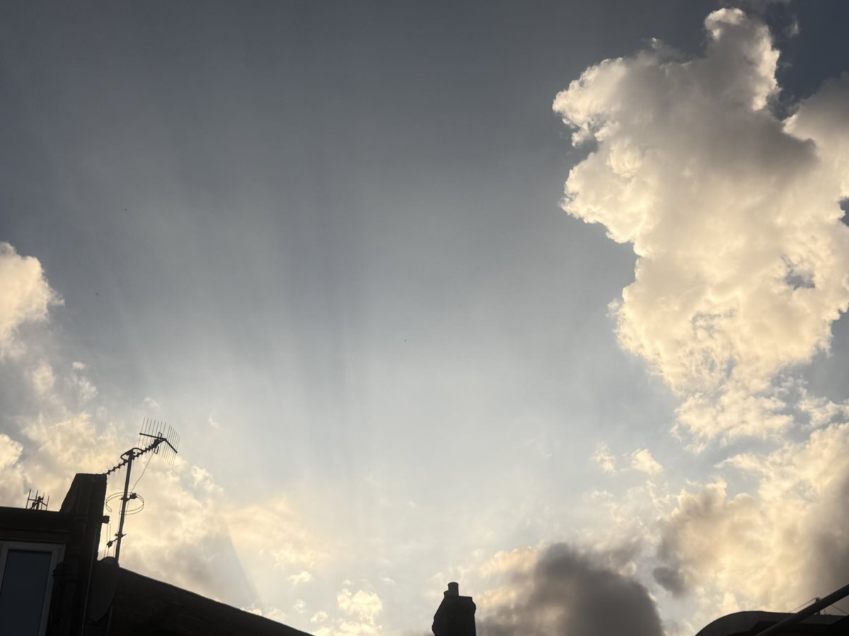 pixie_dragonfly's tweet photo. As the sun fades, may what no longer serves relinquish its grip
As the sun renews, strengthen a new future and beginning
(&amp; a strange position by my cat watching the eclipse!)

#solareclipse #manifesting https://t.co/3Utdyl58Df