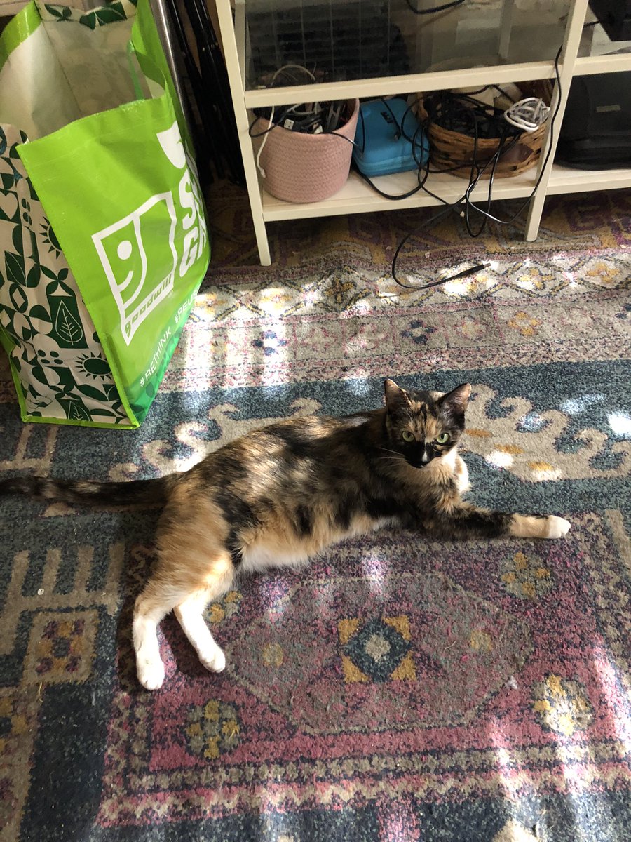 jealousroll's tweet photo. she does not have the mental capacity to understand what i have done for her https://t.co/xh8I8fyW1b