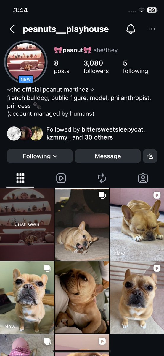 melsgutter's tweet photo. Not Melanie making her own dog an account this so adorable lmao!😭🫶 https://t.co/RrR35CFcoW