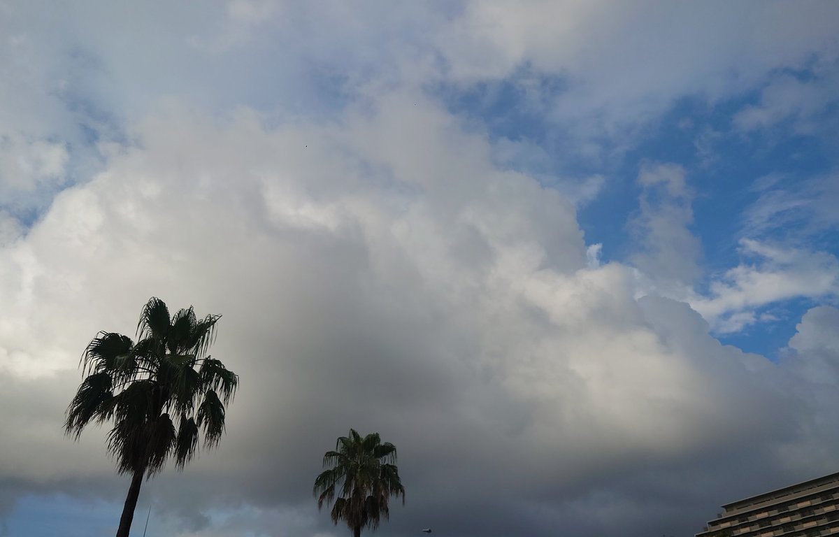 dolphine_20's tweet photo. 8月12日㈬、晴れ/曇り/時々大雨。
車からは左は暗い雲、右は青い空に入道雲が見えた。
少し経つ���どしゃ降り雨。数分でやむ。こんなことの繰り返し。
夕方、空を見上げると虹を発見！
夢中で写真を撮っていたら、3分位で消えてしまった。
目まぐるしい空の変化の一日。
#いまそら
#イマソラ
#雲が好き https://t.co/foThuHEtVi