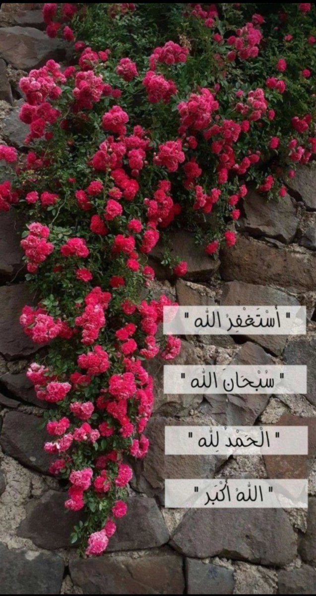 Ndaawe's tweet photo. وبالاسحار هم يستغفرون
#استغفرالله العظيم
#صباح_الخيـر https://t.co/iDOfZ433wo