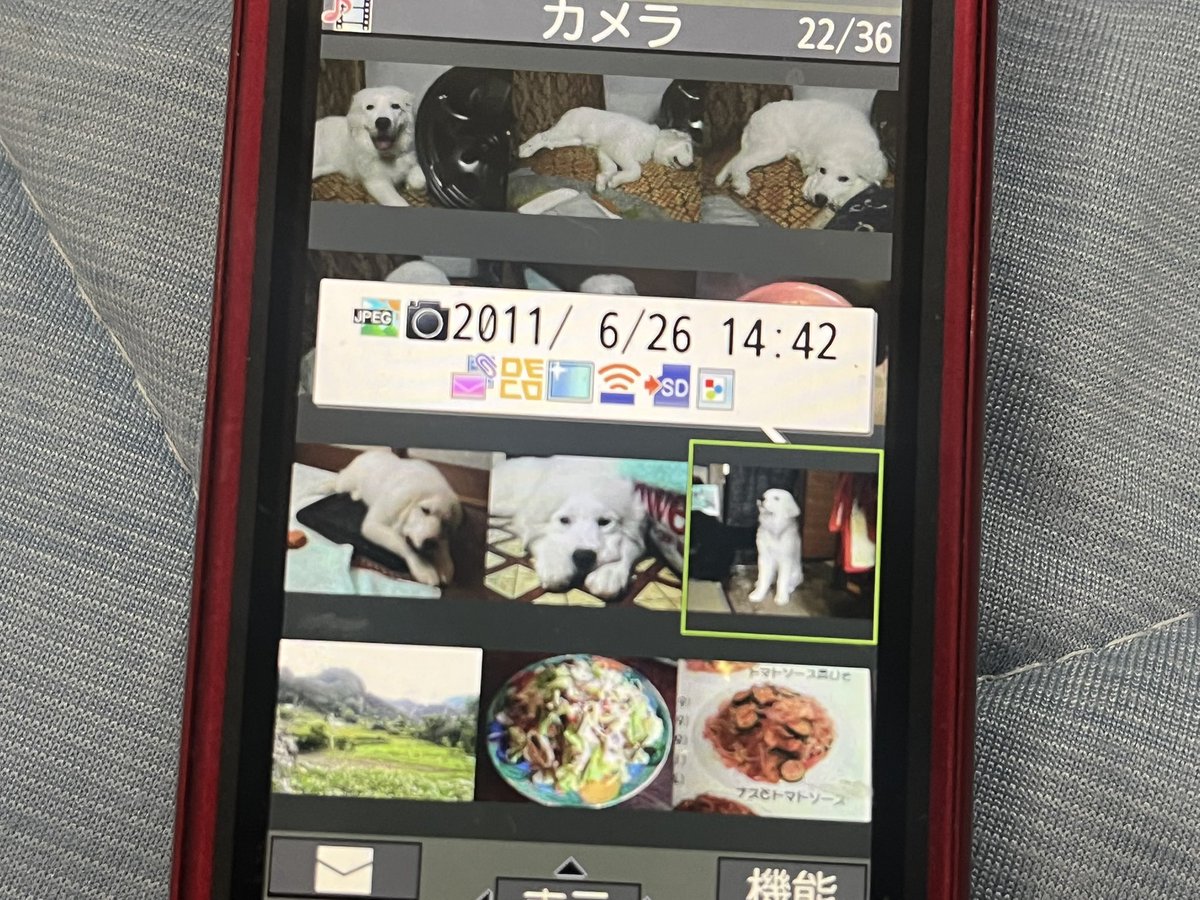 leebaaba0118's tweet photo. 今日は亡き愛犬リーが亡くなって初めてのお盆。。。

新盆というわけで、、、

リーがいない夏はお迎えして15年だから、つまり15年振り。。。

やっぱり寂しいねー

とにかく食べるのと寝るのと散歩するのが大好きなグレートピレニーズだったから、大好きだったお肉を用意してお迎えします🌈 https://t.co/bu5jNaEKXz