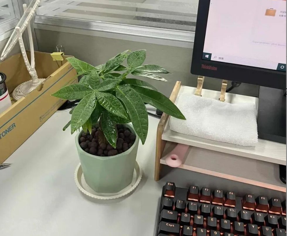 TheMovieMaster1's tweet photo. Just found out my desk plant ate a whole pack of ramen left out by intern. Boss caught me trying to feed it cat food—now the whole team’s calling me a plant parent chaos gremlin. #OfficeChaos https://t.co/MyiNBLlzGZ