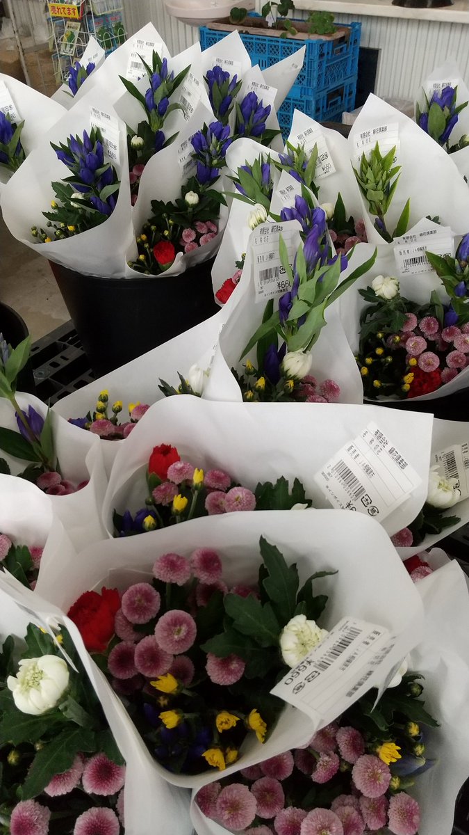 JAsagamiharashi's tweet photo. 切り花コーナー増設中💐

採れたてブルーベリーも入荷してます🤗

 #JA #農協 #相模原 #JA相模原市 #ベジたべーな #ベジタベーナ #直売所 https://t.co/9LOsKLZ1qT