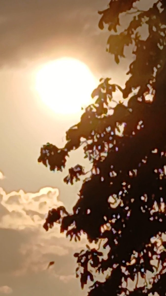 MissChippyChip's tweet photo. #solareclipse #solarglare #space #ukeclipse https://t.co/eVb5g7Z2kV