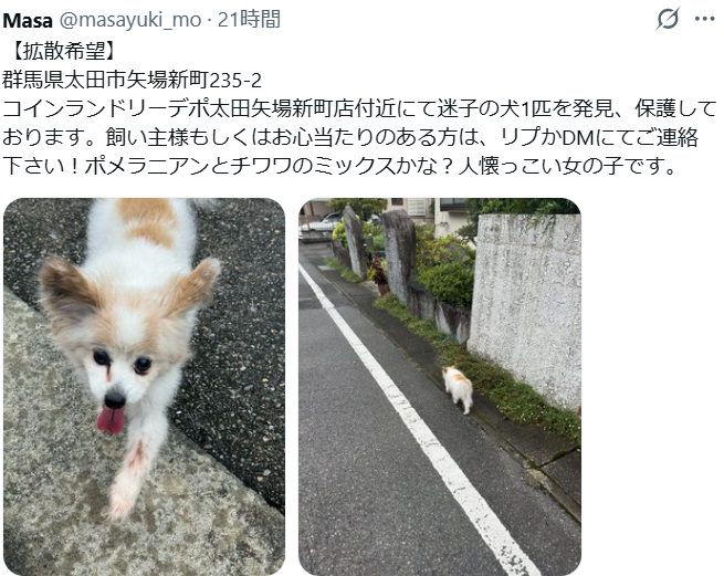 mama88872520's tweet photo. 無事お家に帰れ、本当に良かったです🎉
保護して下さり、ありがとうございました🙏
#群馬県  #太田市  #迷子犬 https://t.co/ObvqOGu5Fh