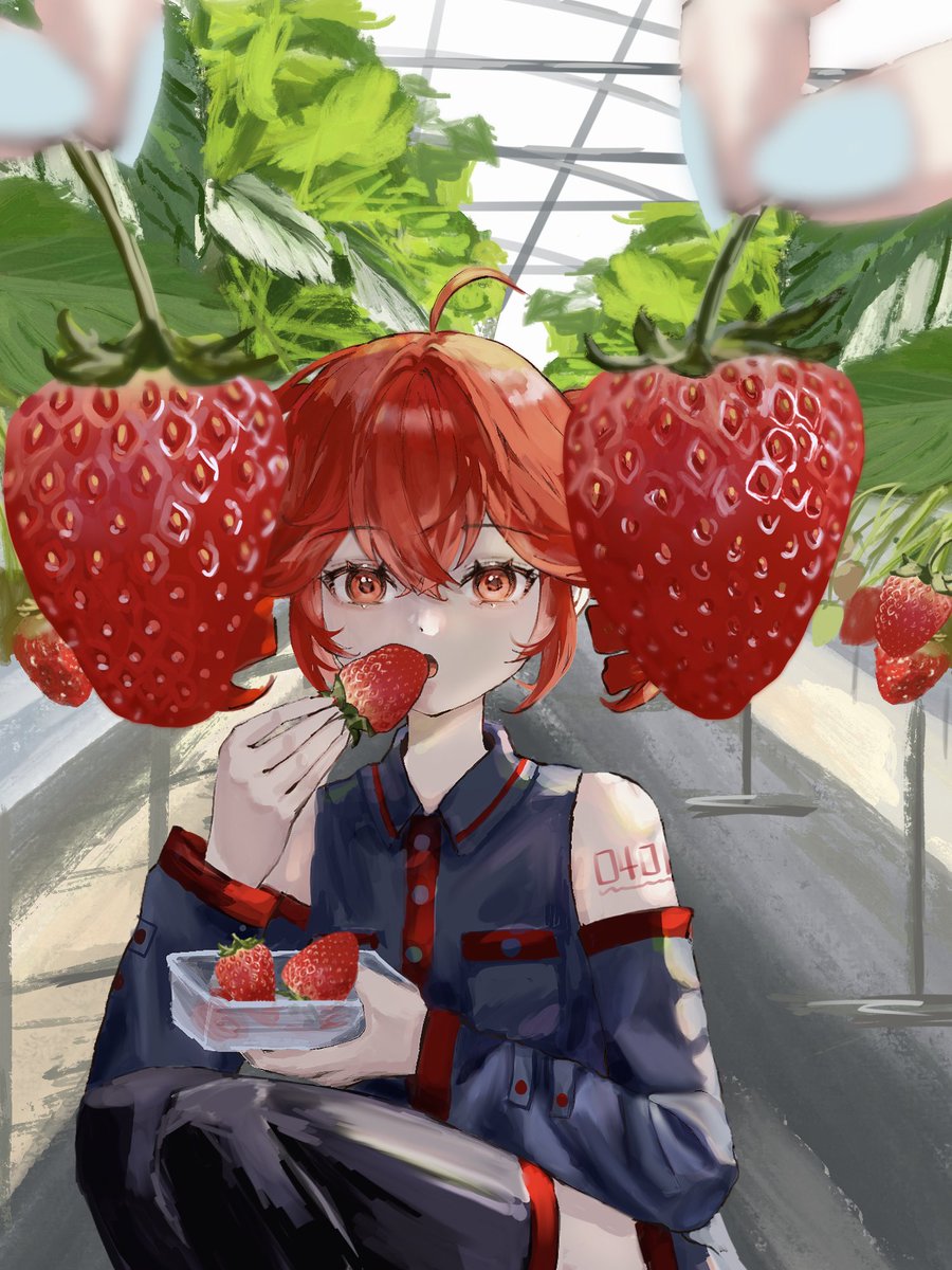 ru_qevryn's tweet photo. いちご狩り #重音テト #KasaneTeto https://t.co/EFVMIQbXpn