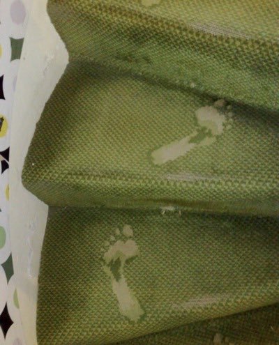 Iithosphere's tweet photo. British poet Edward James, captivated by his wife, had the trail of her wet footprints from a bath woven into the carpet. https://t.co/Hwi0ZAfjWH