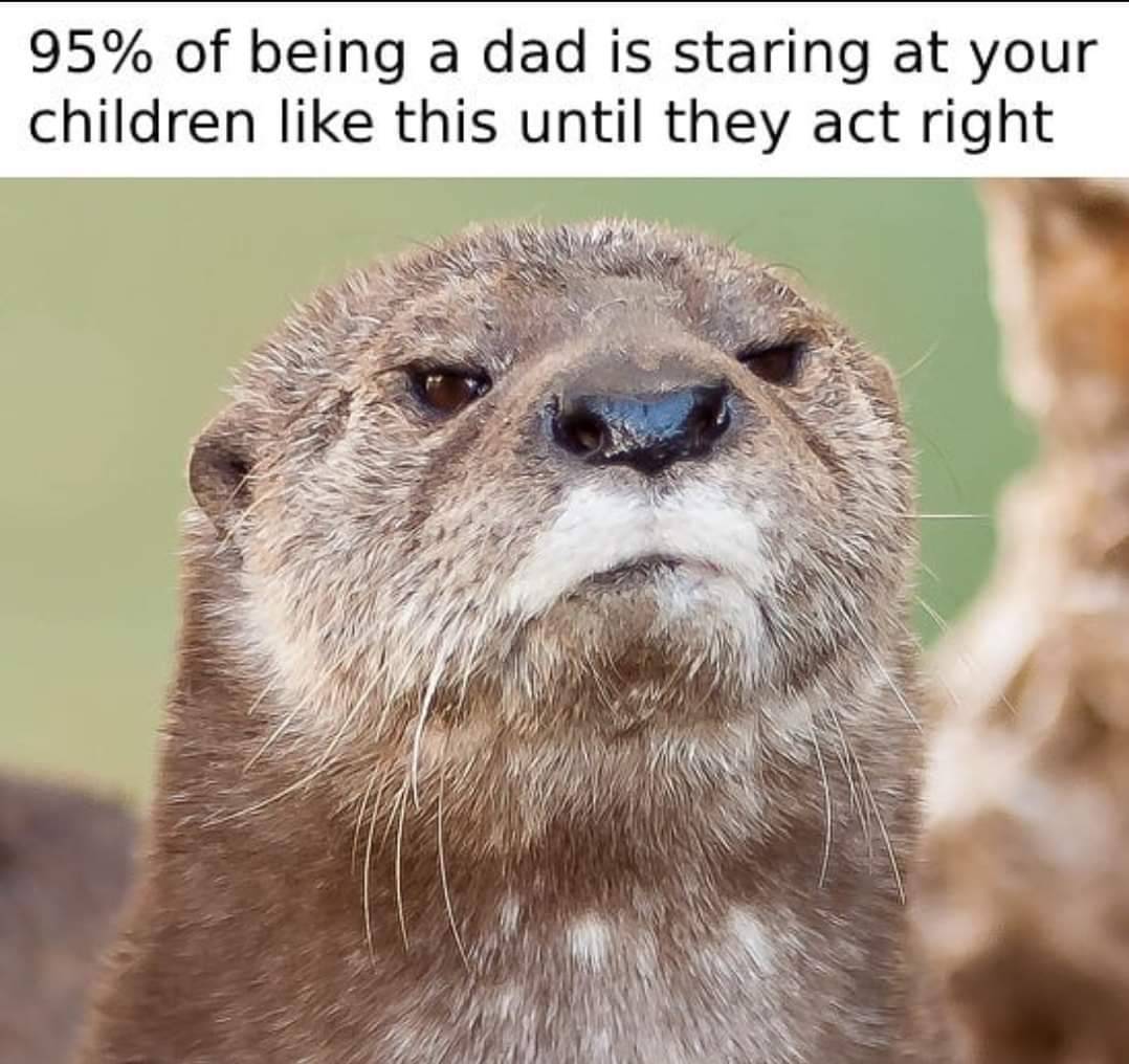 In_Otter_News2's tweet photo. True... https://t.co/W5FX2EEWLY