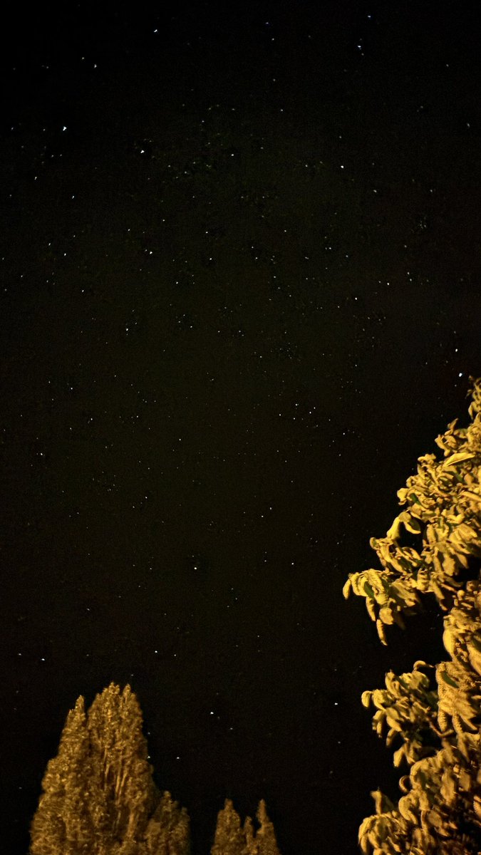 79Northh's tweet photo. Galaksi bu gece şov yapıyor 
Perseid yağmurları başlıyor ✨🌙 https://t.co/BeY2RBhdNM