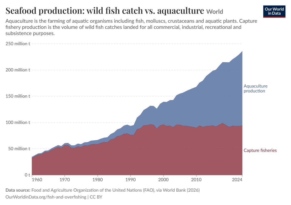 aympontier's tweet photo. Grâce à l'invention de l'aquaculture, la pêche de poissons sauvages dans les mers et océans n'a pas augmenté d'un iota depuis 1995 alors que le nombre d'humains a bondi de près de 50%. 6 produits de la mer sur 10 viennent de l'aquaculture en 2024.
https://t.co/OcBahNXMJE https://t.co/SKjiB87k4h