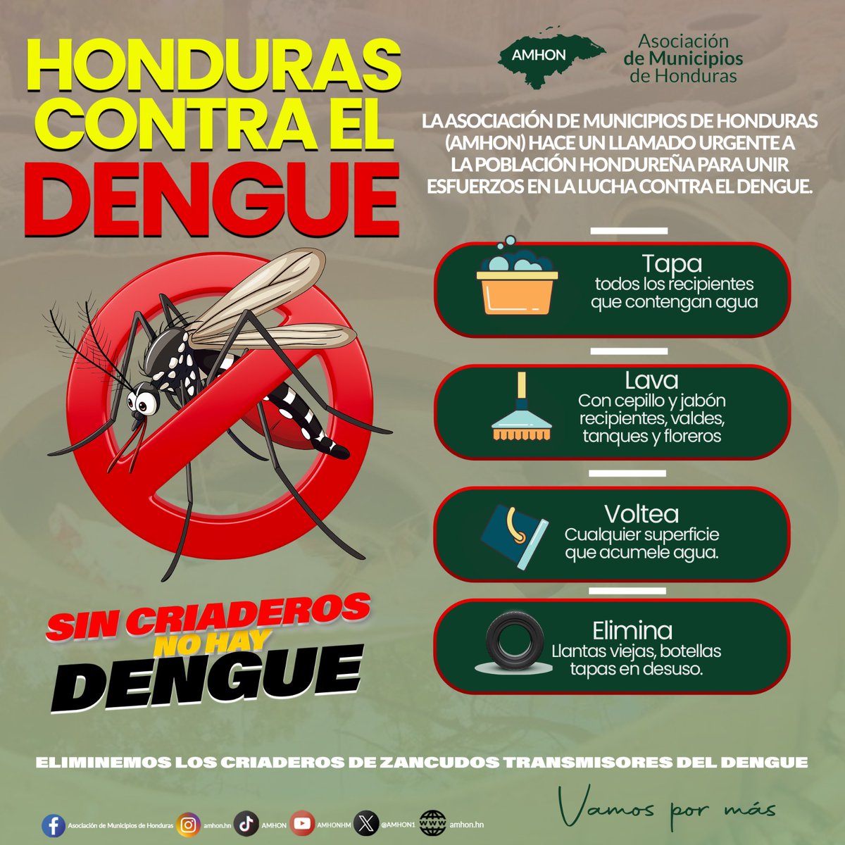 AMHON1's tweet photo. 🦟AMHON, hace un llamado urgente a la población hondureña a unir esfuerzos en la lucha contra el dengue.
#AMHON #amhonenacción #Vamospormás #JuanCarlosMolina https://t.co/jHDcuabbjX