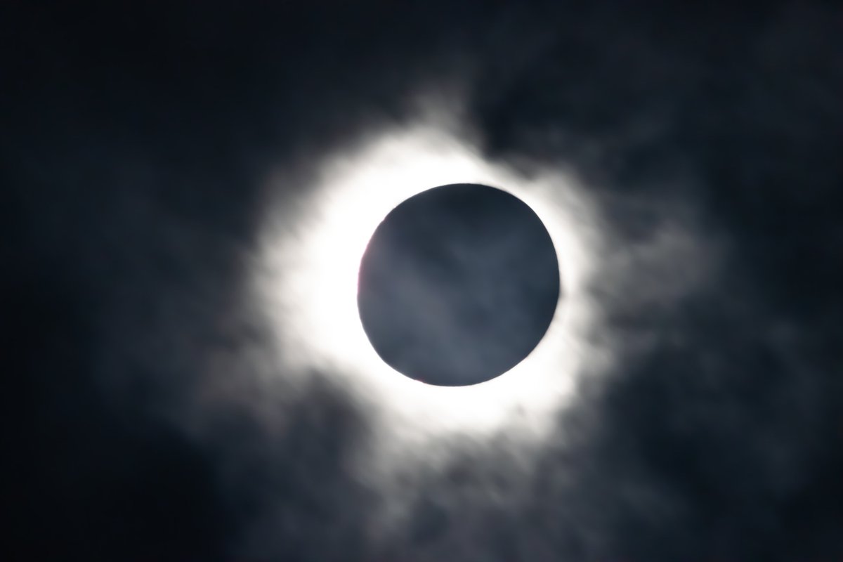 MWMattPhotos's tweet photo. Happy Eclipse Day, Europe! Here was my view of the 2024 American eclipse https://t.co/rOmTVn63t9
