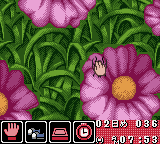 morishima_games's tweet photo. おはようございます！☺️
本日は1999年にGB「Get'虫倶楽部 みんなの昆虫大図鑑」がリリースされた日です。

延々と昆虫採取しまくるアクションゲーム‼️🦋🐞🪲
異世界に強制召喚させられるトンデモ導入から帰還時の別れまでストーリーも楽しく、グラフィックも綺麗なので意外と面白い作品ですよ～😆✨ https://t.co/z5GydyHLUD