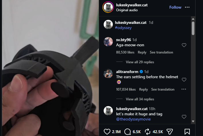 DeclanFogarty10's tweet photo. 40 MILLION VIEWS AND 2 MILLION LIKES IN 1 DAY

the cat is called sky  and its going super viral  people making odyssey  memes 

they are calling her Agameownon

Sky The Agameownon

https://t.co/hxIweLfoFI https://t.co/S2wmviO3mt