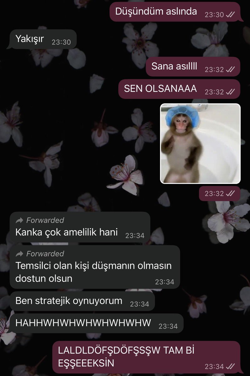 lucentnil's tweet photo. kimseye güvenim kalmadı… https://t.co/OD3dVDr5Uv