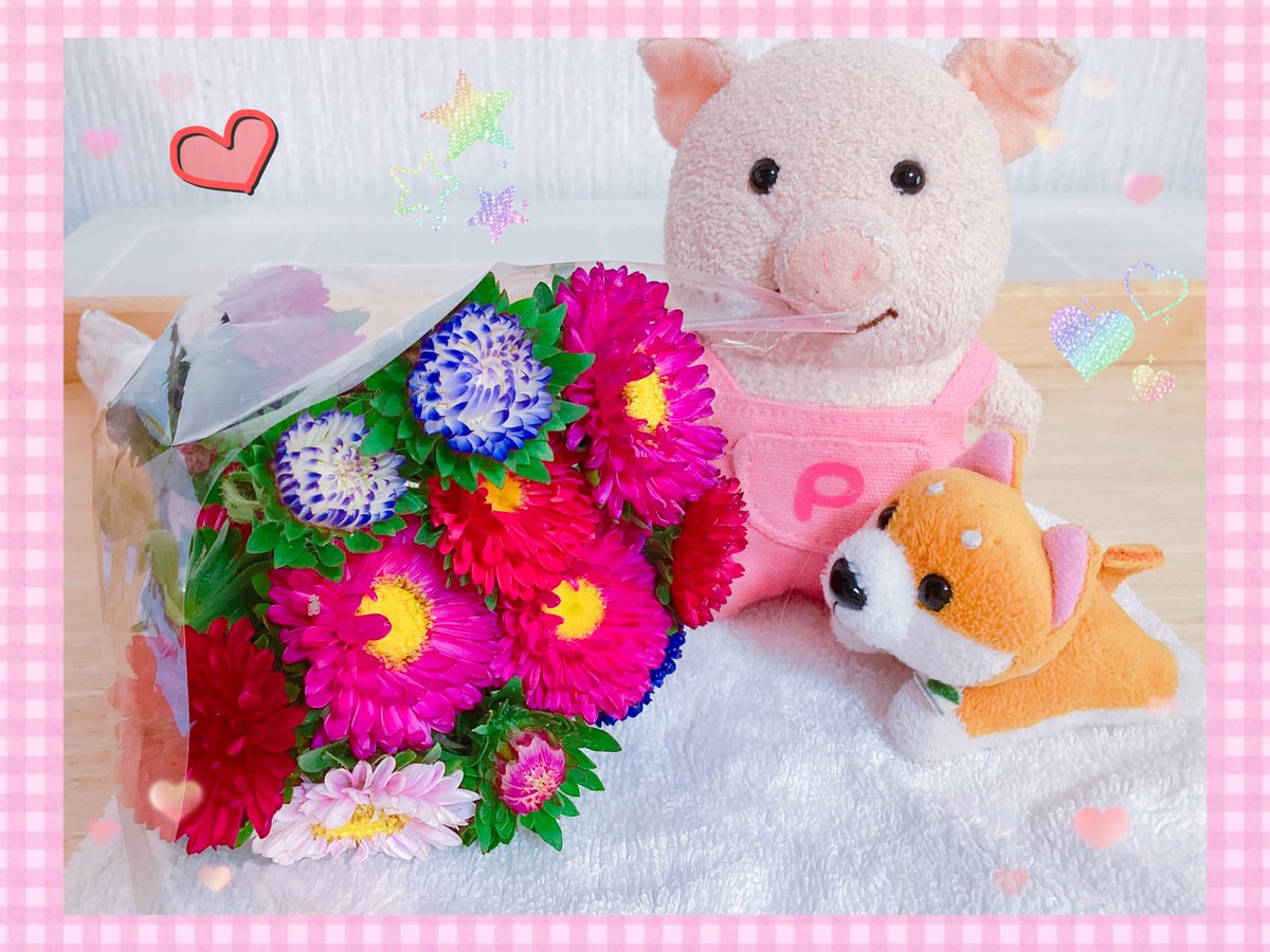 pikurusu1993's tweet photo. お店で偶然見つけた、ミニミニ花束💐！

かわいい〜🩷

思わず買ってしまいました

これで150円！ありがとう〜😆🙌

暑いけど長持ちして欲しいなぁ

お花を見ていると

明るい気持ちになるから良いですね〜

あっ！ぬい達🐸🐷🐶を見ていても

幸せな気分になっていますよ〜🤗💕 https://t.co/NAVR7wLa8M