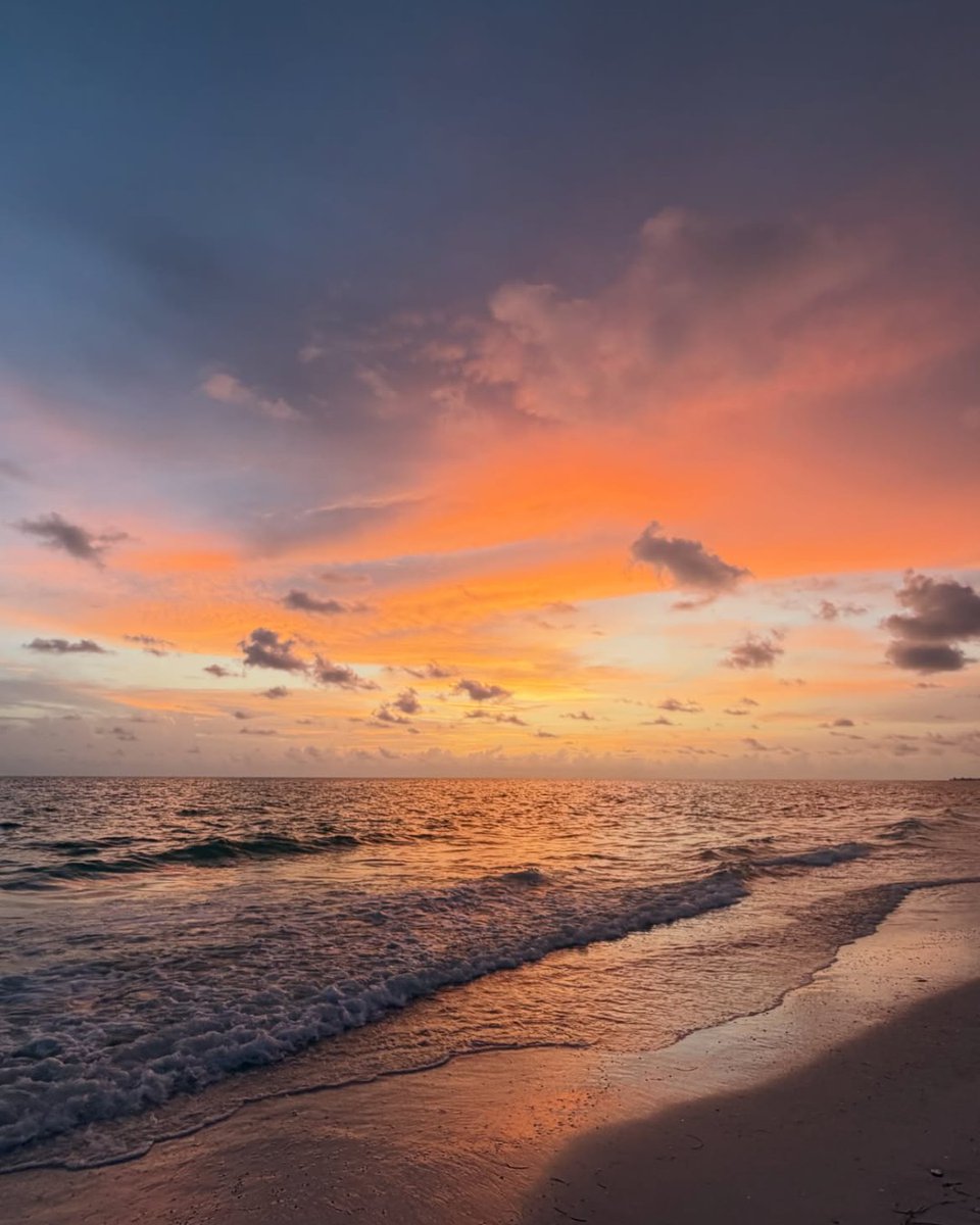 VisitBradenton's tweet photo. No two Anna Maria Island sunsets are ever the same. 🌅

These moments were captured by visitors and locals soaking up another beautiful evening on the beach.

📸 ekucolonel j.lulu_photography thesophiareign michellecnewell https://t.co/PPuBAjdqqu