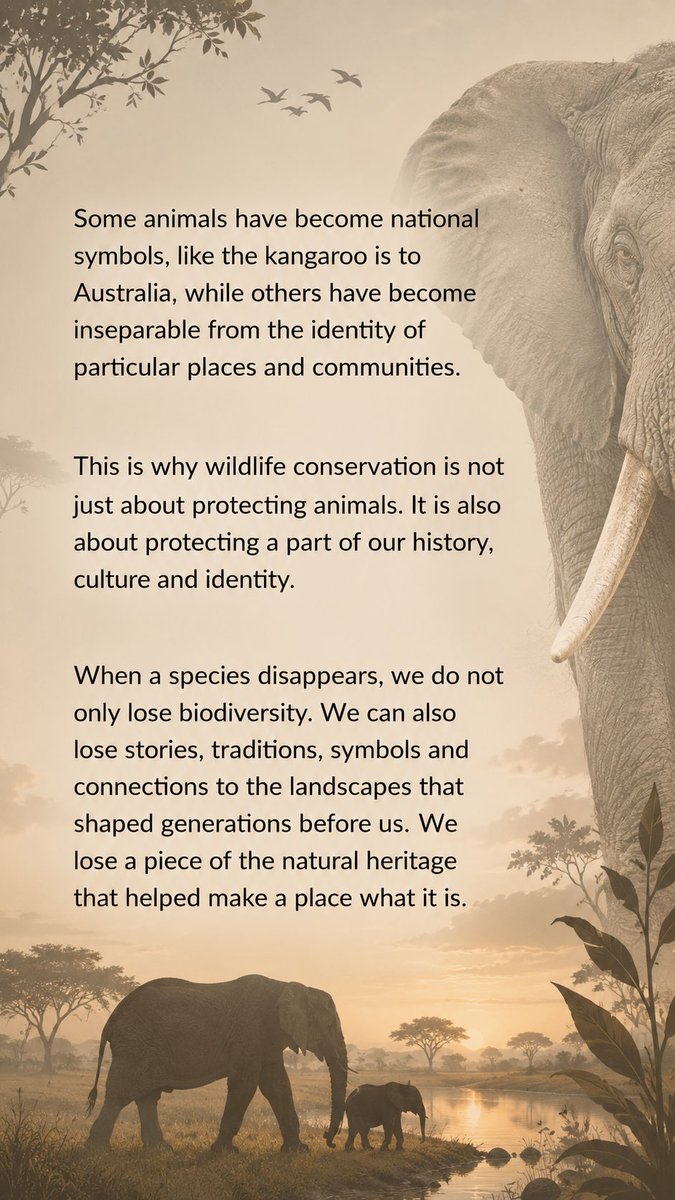 NaturePeak's tweet photo. Africa, where the oldest paths are marked by elephant footprints.

As the elephant never sees its trunk as a burden, we must never see the responsibility of protecting the wildlife that gives our continent its identity as a burden.

Happy World Elephant Day https://t.co/GtmRlFuOmf