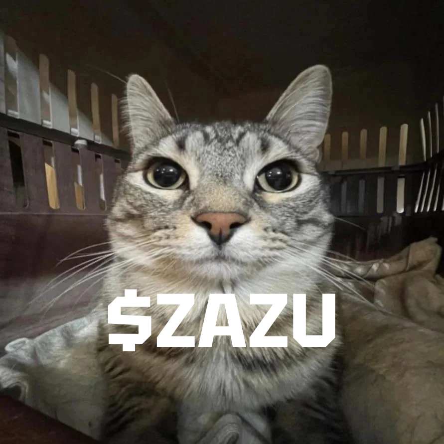 MorgnDEV's tweet photo. @daddyriskbets $ZAZU GANG https://t.co/6xT0kQCAkQ