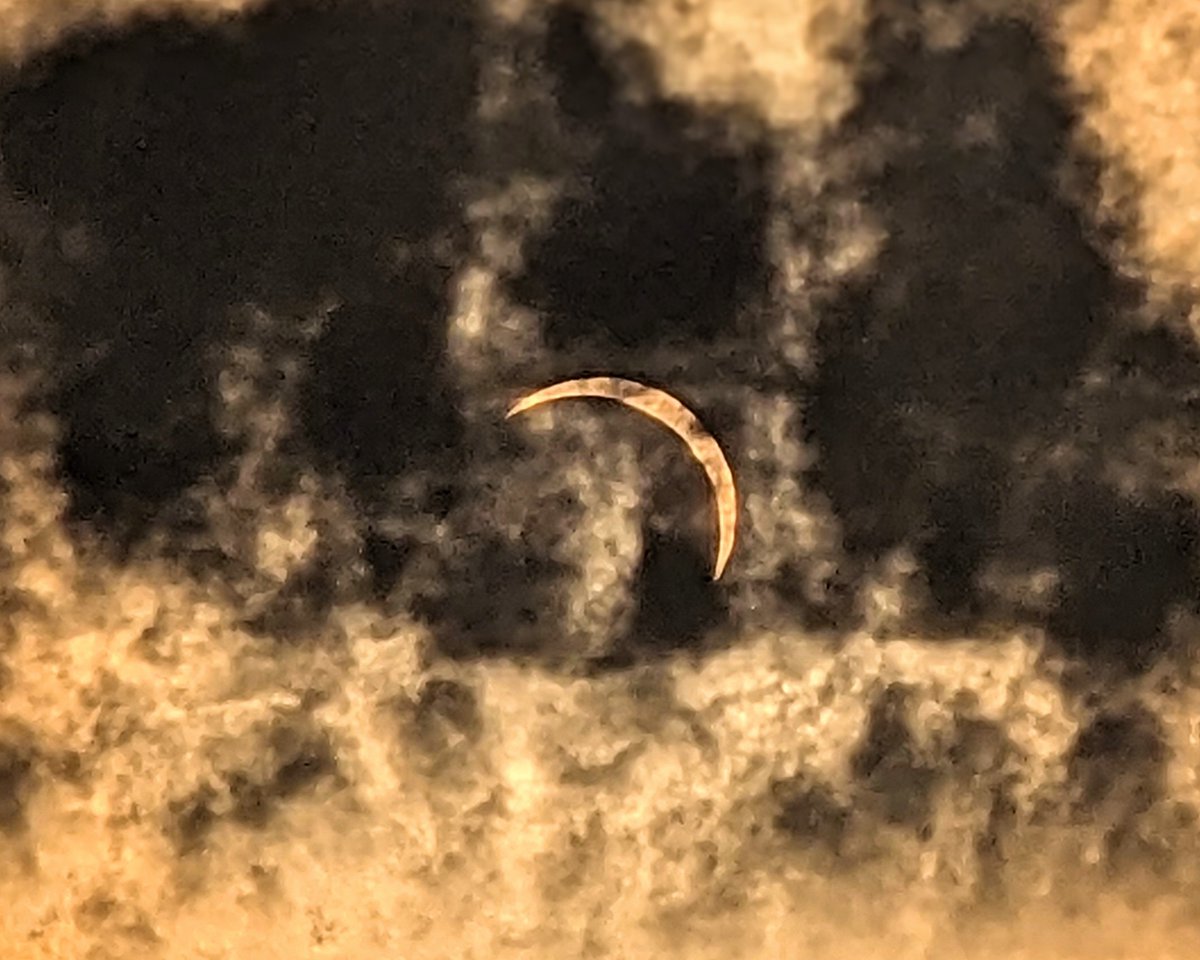 CuddleyKelly's tweet photo. That was good!
@OctopusEnergy #OctoEclipse https://t.co/HHYUDfoux6