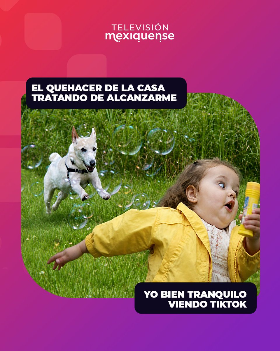 MexiquenseTV's tweet photo. 😂📺 Cuando el quehacer de la casa empieza a perseguirte…

A veces también se vale tomarse un momento para relajarse. 😌

¿Qué programa ves cuando te das un descanso? 👀👇

#TelevisiónMexiquense #ModoRelax #Edoméx https://t.co/HXEpK6aarU
