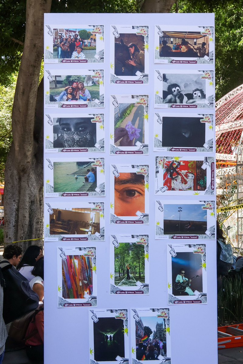 pepechedrauimx's tweet photo. 📸 En el marco del Día Internacional de la Juventud celebramos la mirada única de las juventudes poblanas.

A través de “Instantes de Juventud”, reconocimos a quienes compartieron, mediante una fotografía, su forma de ver el mundo, sus experiencias y lo que significa para ellas y ellos ser jóvenes. 🙌🏼