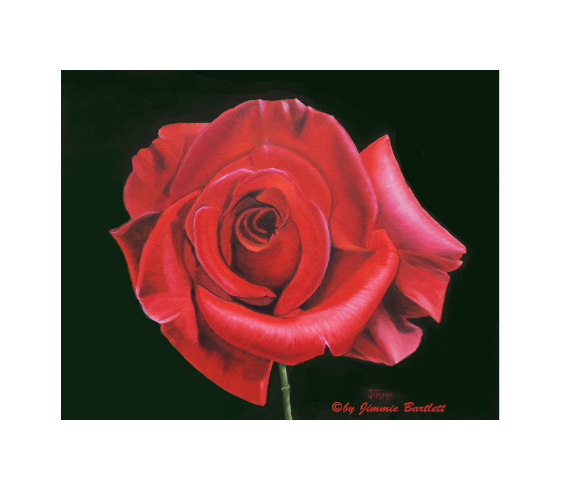 jimmiesart's tweet photo. Passionate Rose - Print https://t.co/zs6ePlx7uu via @jimmiesart #buyintoart #fineart #fineartprints #originalpaintings #oilpaintings #acrylicpaintings #collectible https://t.co/hugELkh8iu