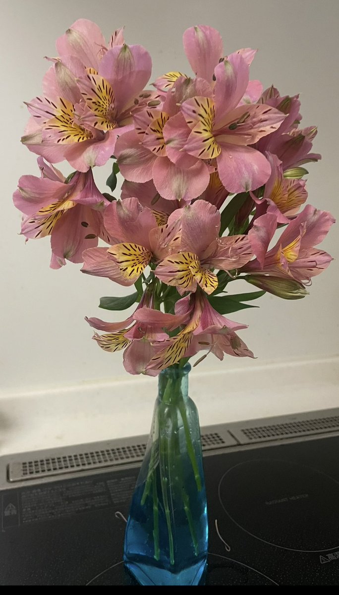 Ie0830's tweet photo. おはようございます💕

迎え盆です💐
仕事でのお盆休みはないので
仕事前にお寺さまに
行かせていただきお参りを✨
穏やかな時間を過ごせますように https://t.co/uKUd1CrS0U
