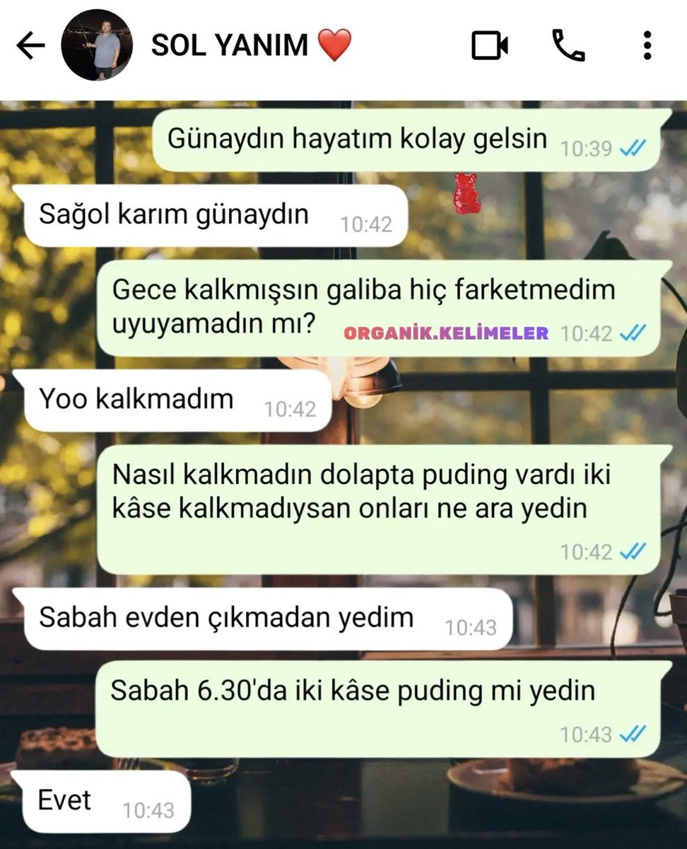 Bagimsiztaraf's tweet photo. İki kâse puding yüzünden başlayan karı-koca diyaloğu bambaşka bir yere gitti. https://t.co/KMwrpqRZTY