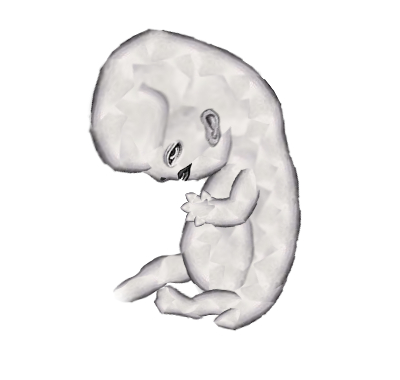 CatAndPain's tweet photo. Samarie, if she were a fetus💯 https://t.co/pl1dNSPKLv