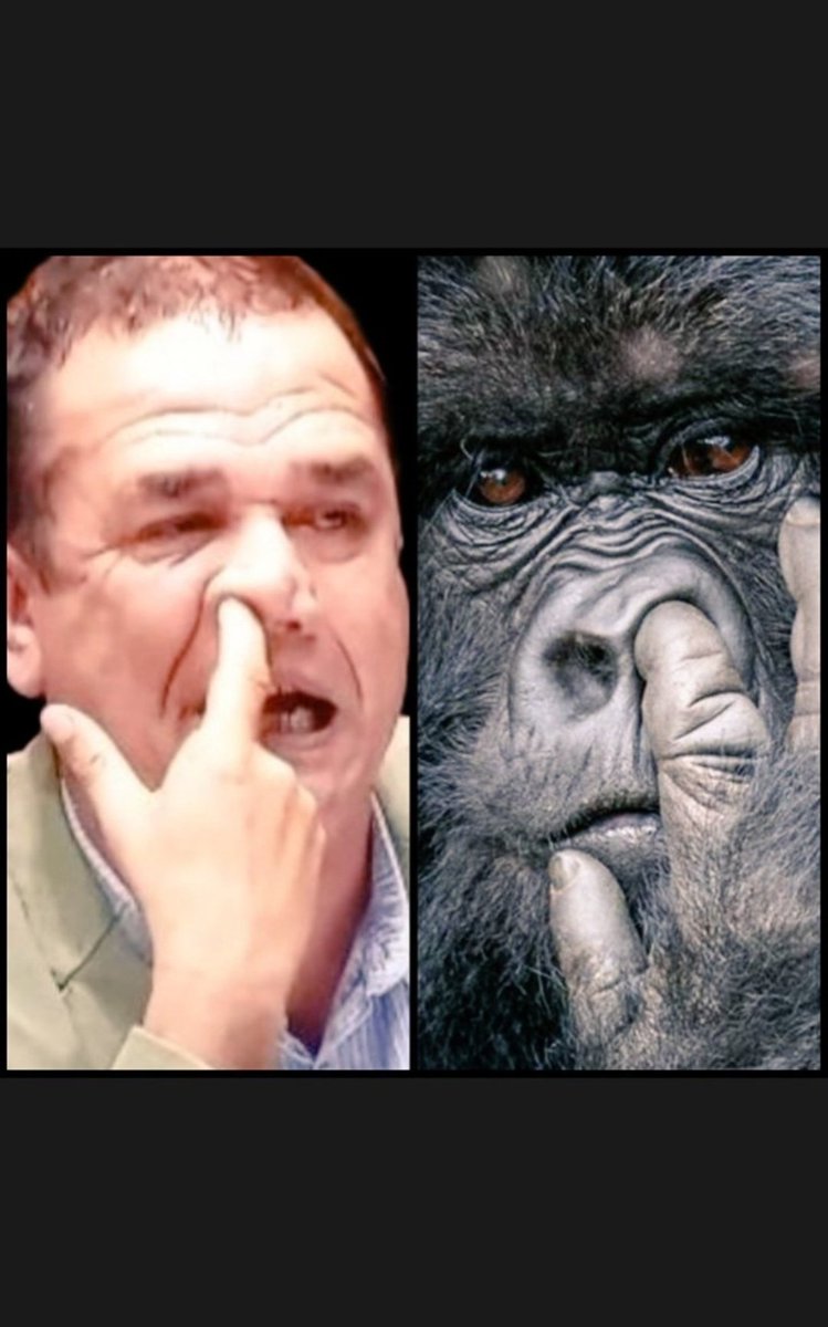 arielduraznense's tweet photo. @leosarro - Hola @camboue, y vos no has perdido la vergüenza xque nunca la tuvisteS ¿?!!! 💩🦍🐽🐽🦍💩 https://t.co/OZkLuc1JnP