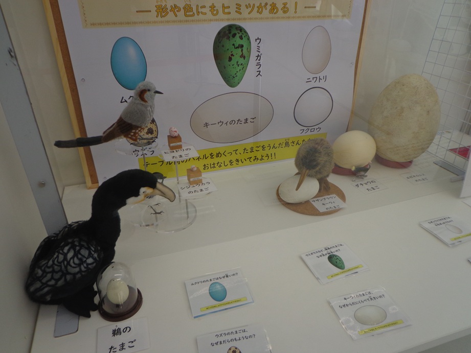 gigant2003's tweet photo. 恐竜、古生物というより、卵と鳥類に焦点を当てて実施した、という印象。ちびっ子の体験講座もある夏休みイベント。生物学に触れるチャンス。エピオルニスのパネル大きい。 https://t.co/YaVZenr7ja
