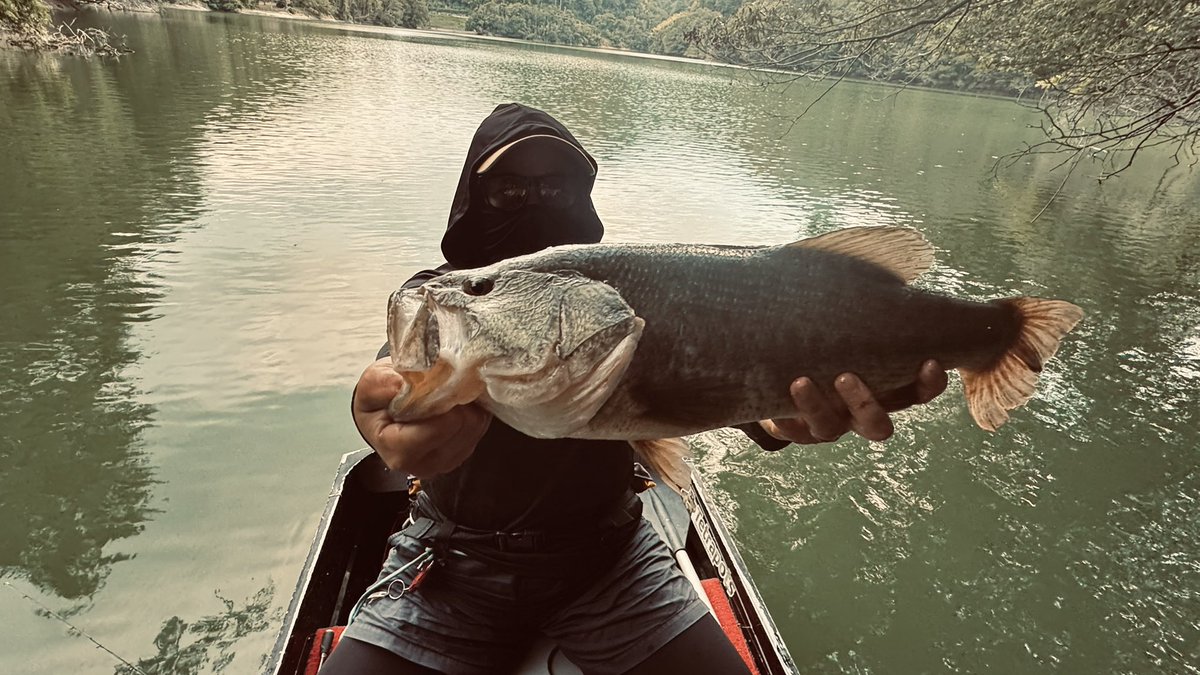 marysnomog's tweet photo. 愛媛は松山にあるダムへ🎣

船中数え切れないくらいのバイト
途中から数えるの面倒になるくらいのキャッチ数
20匹は軽くこえる40アップの魚

楽園はここにありました✨️

最長は相方53cm、私48cm👍

四国のフィールド最高すぎる！
毎年通いたいなぁ…

さらに地元の湖行く気がしなくなったw https://t.co/yOOueDP4bG