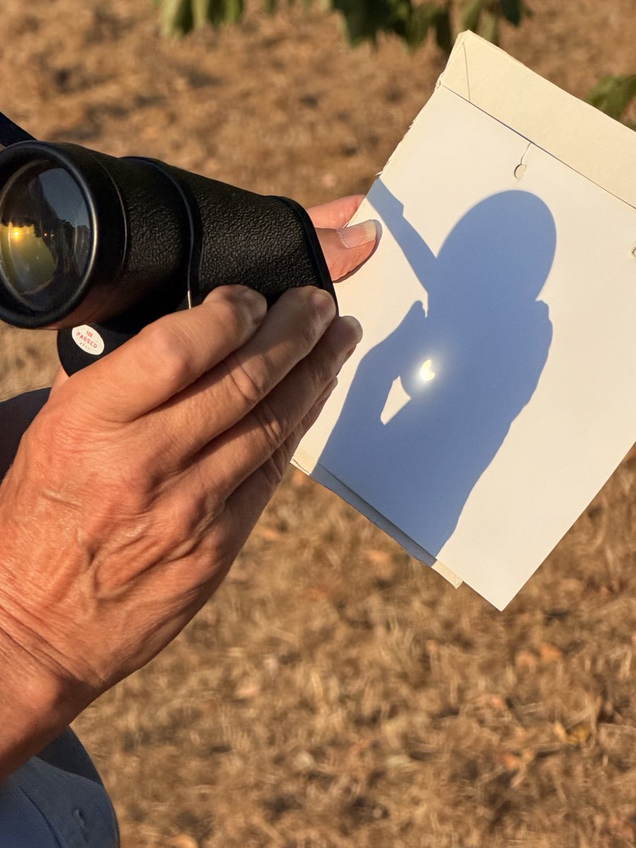 Pinkbabyshey's tweet photo. Ngl, I stared directly at the sun after tell everyone else not to…. Brief enough that the damage is temporary, but the memory is forever. But also did the pin hole  #eclipse #solareclipse https://t.co/wzadLsHfHx