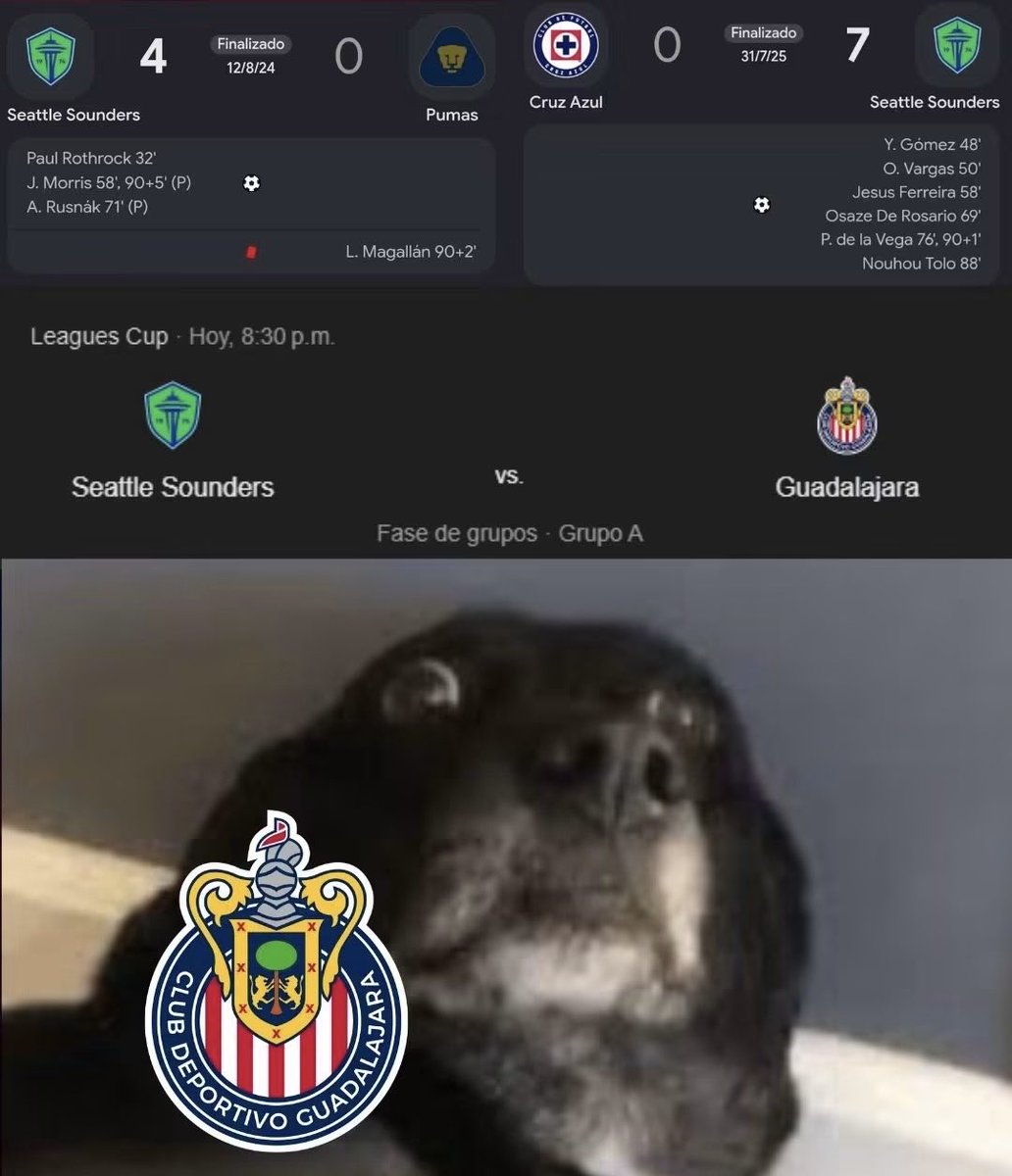 chivahormiga's tweet photo. no mamen se cancela mi predicción de 2-1 a favor de mis chivas 😔 https://t.co/KZ86ULXu82