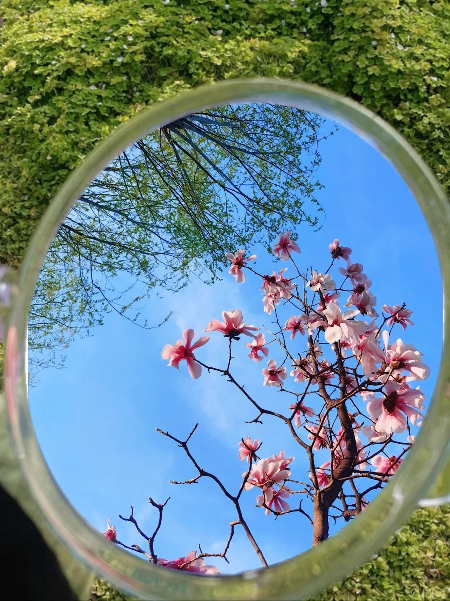 RyanTweetTweet1's tweet photo. New to photography Start with these 3 basics: natural light, rule of thirds, and focus on your subject. No fancy gear needed—just capture what makes you smile! https://t.co/kAc0p34M6L