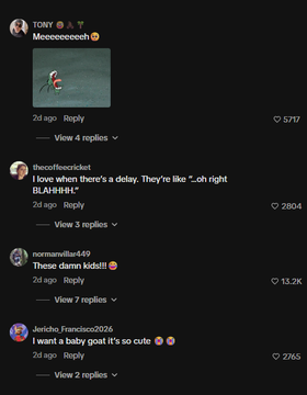 back_bonk_'s tweet photo. I just found the next viral tiktok movement that we can run on chain

This video of lambs screaming "BAH" is going insanely viral the last few days

Easy Narrative

Buy and Hold
$BAH

over 4.5 million views and a million likes in just a few days

https://t.co/Har30xnyT5 https://t.co/ek1dnU0VOt