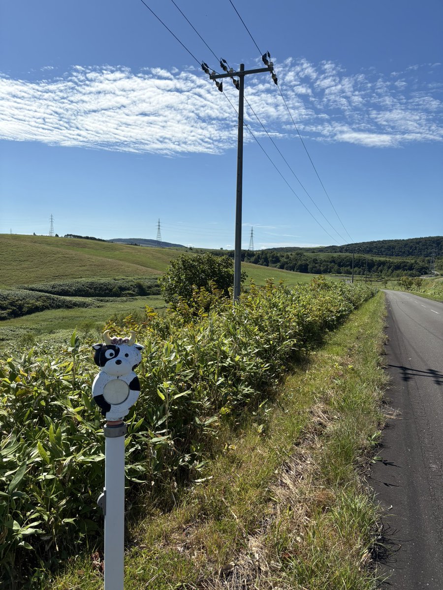 afro_trader's tweet photo. バイク旅7日目

豊富町→浜頓別町

豊富温泉に入りたくてオープンまで周辺を走った。展望台、原野、牧場、海沿い
人気な温泉なので混んでた

クッチャロ湖畔キャンプ場
ここも人気なので混んでた
歩いて行ける温泉に入った

夕方曇って夕陽が見れなくて残念だったけど夜中に雲は少なく流れ星が見れた https://t.co/WYZmm8HpXq